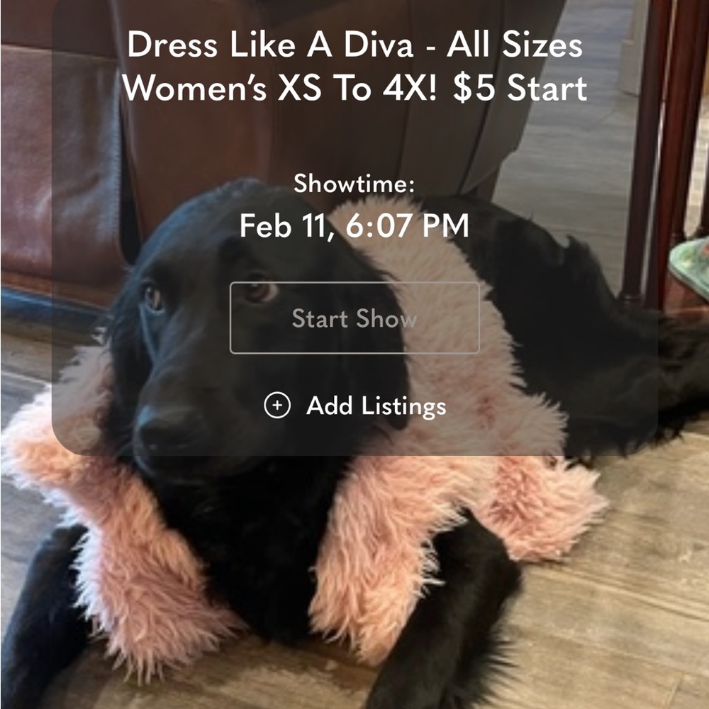 @JOJO_JOSEFINA @JOJOSKAGGS is LIVE!! Low starts! Fun, fashion & friends! - Picture 7 of 10